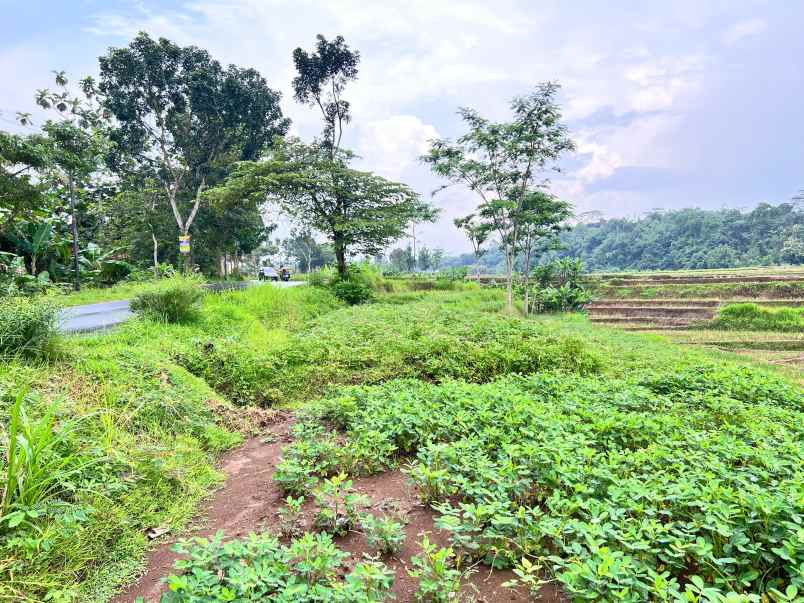 dijual tanah mojogedang