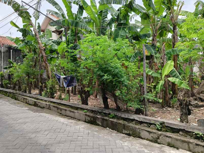 dijual tanah pedurungan