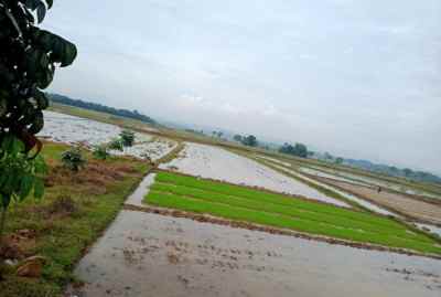 dijual tanah pinggir jalan desa cariu loji cariu bogor