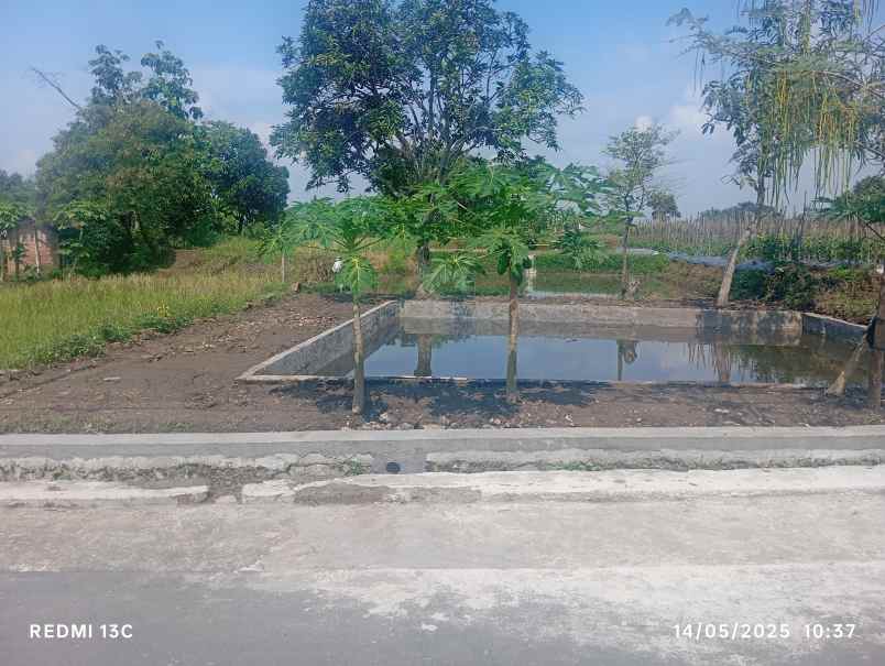 dijual tanah ponggok klaten