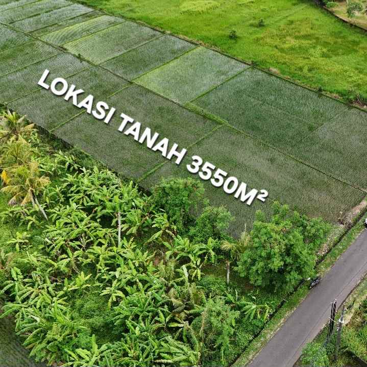 dijual tanah raya kerambitab