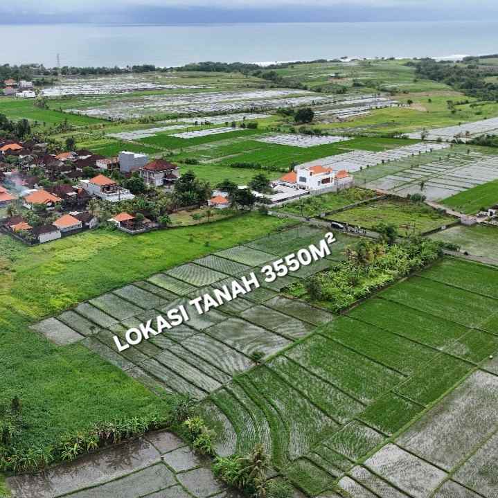 dijual tanah raya kerambitab