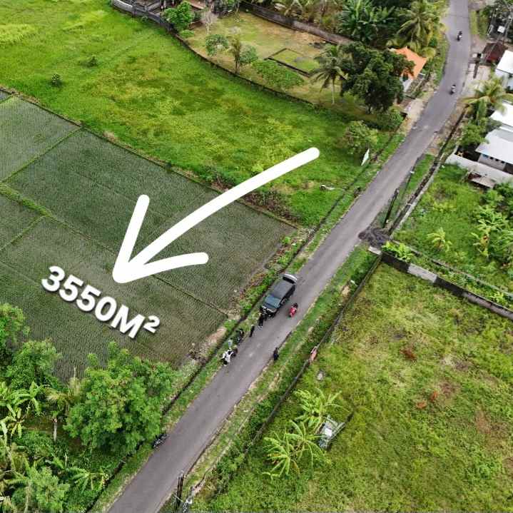 dijual tanah raya kerambitab