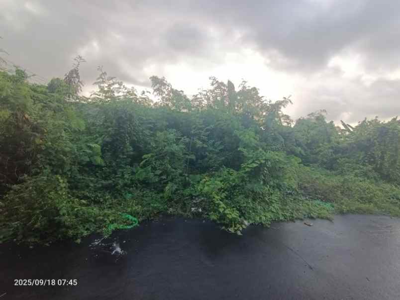 dijual tanah sempid badung bali