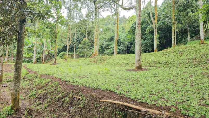 dijual tanah sukaharja kec cijeruk