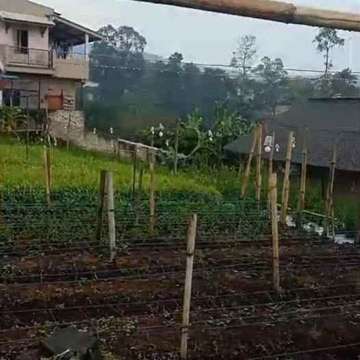 dijual tanah sukajaya