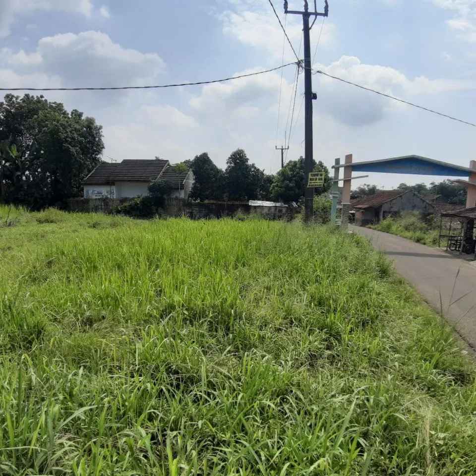 dijual tanah sukawening dramaga bogor