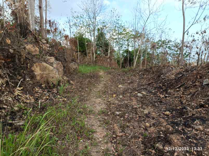 dijual tanah sumber agung kemiling