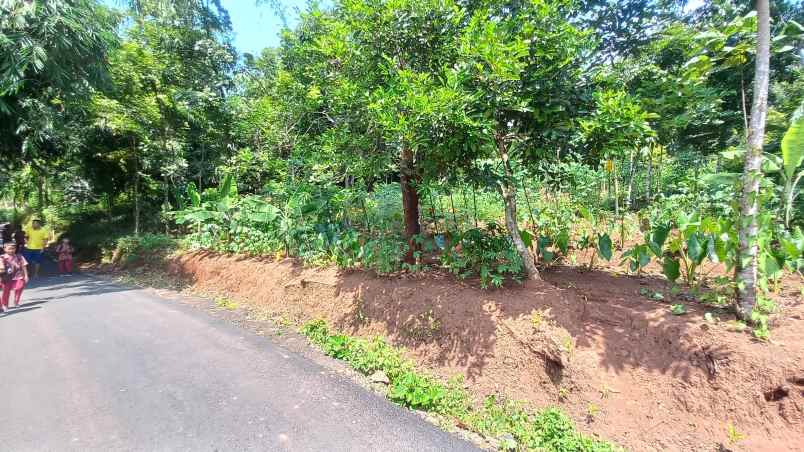 dijual tanah sumedang selatan