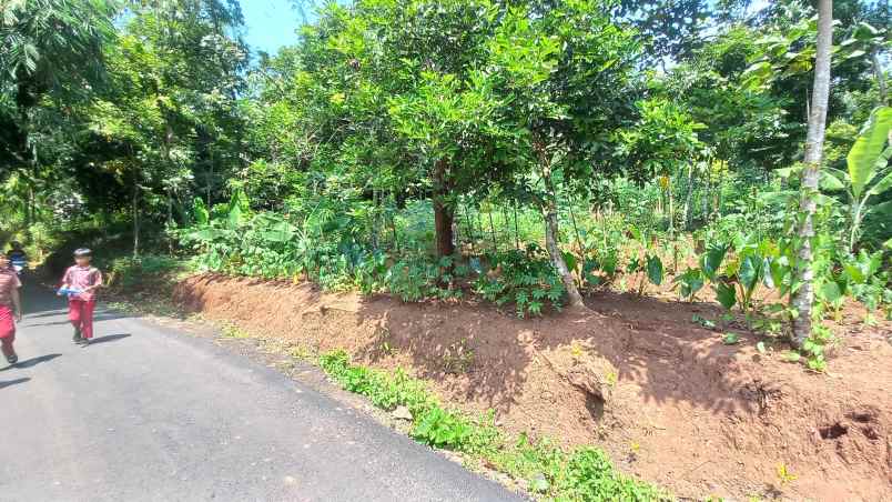 dijual tanah sumedang selatan