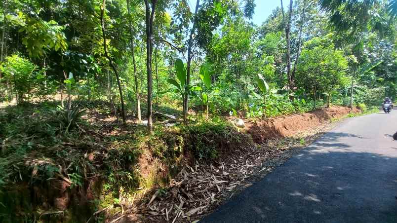 dijual tanah sumedang selatan