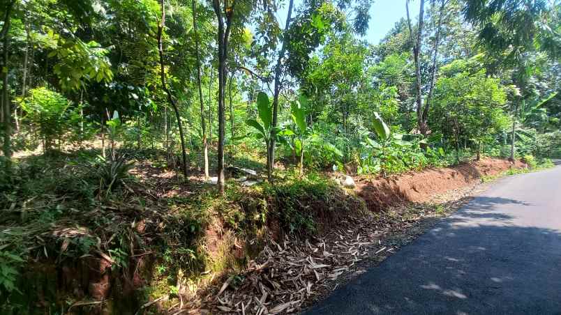 dijual tanah sumedang selatan