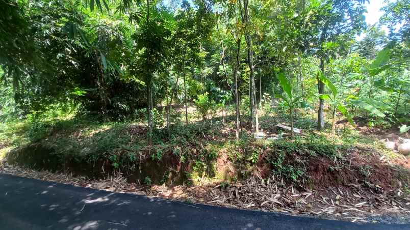 dijual tanah sumedang selatan