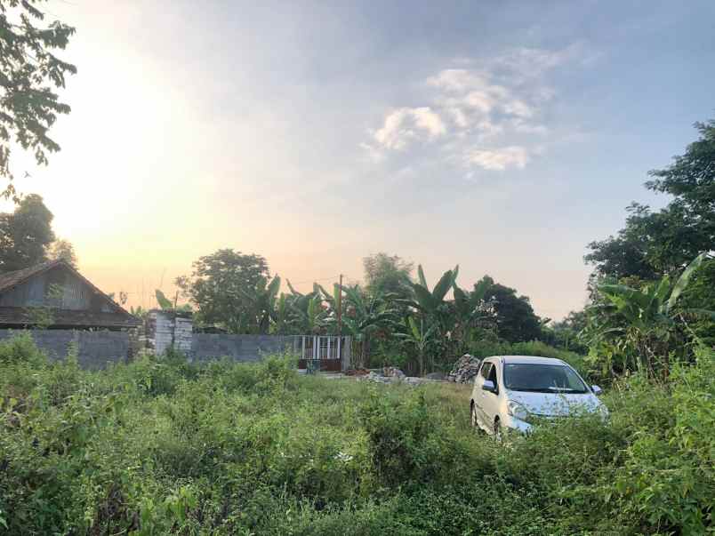 dijual tanah tanjungsari tanjungarum
