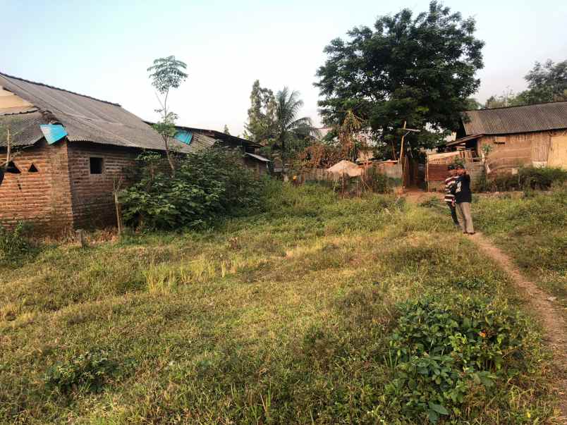 dijual tanah tanjungsari tanjungarum