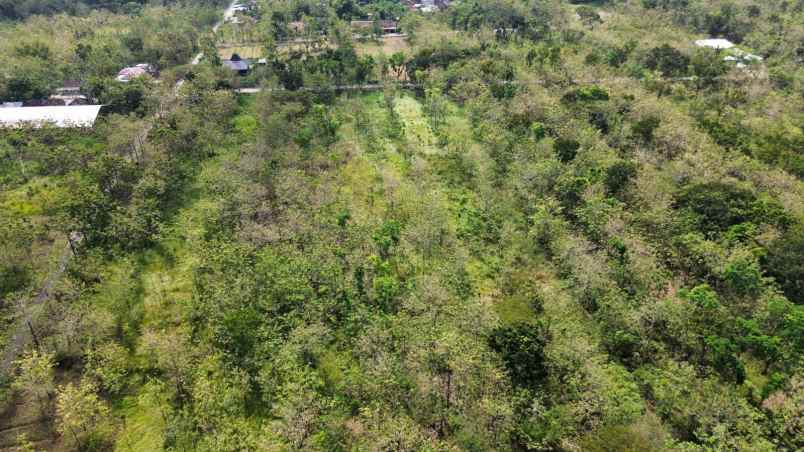 dijual tanah watubonang