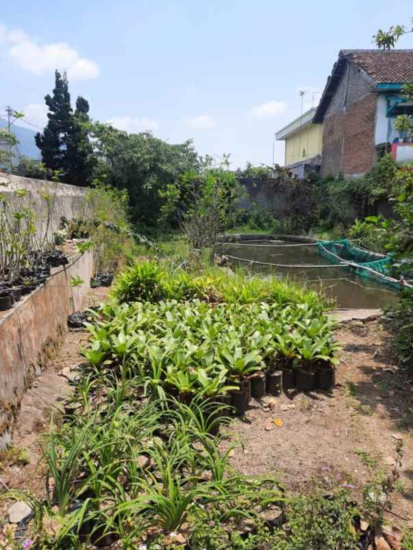 dijual villa jalan raya kebun raya