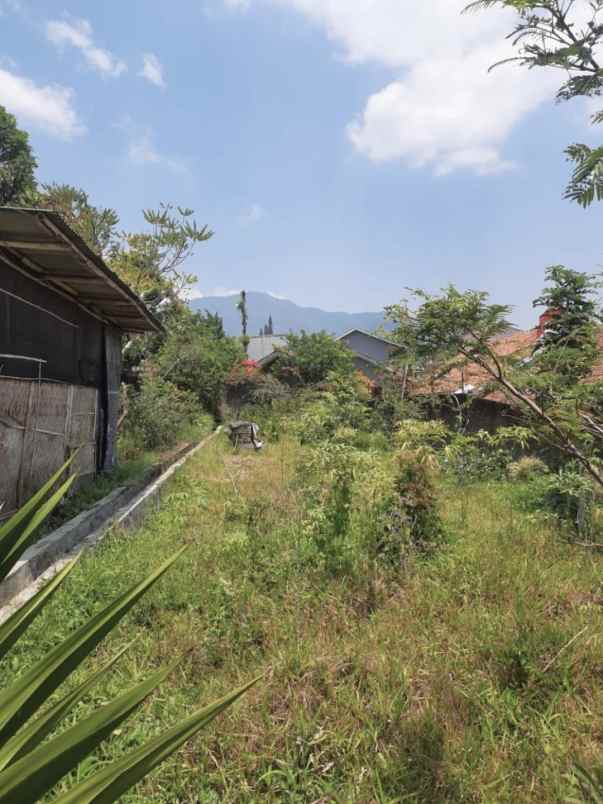 dijual villa jalan raya kebun raya