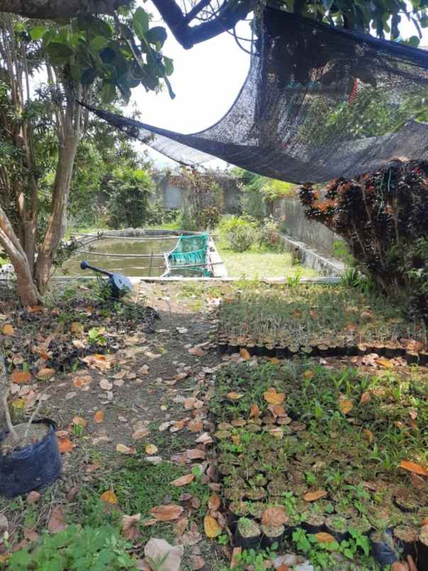 dijual villa jalan raya kebun raya