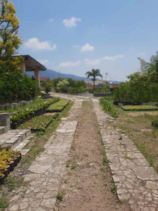 dijual villa jalan raya kebun raya