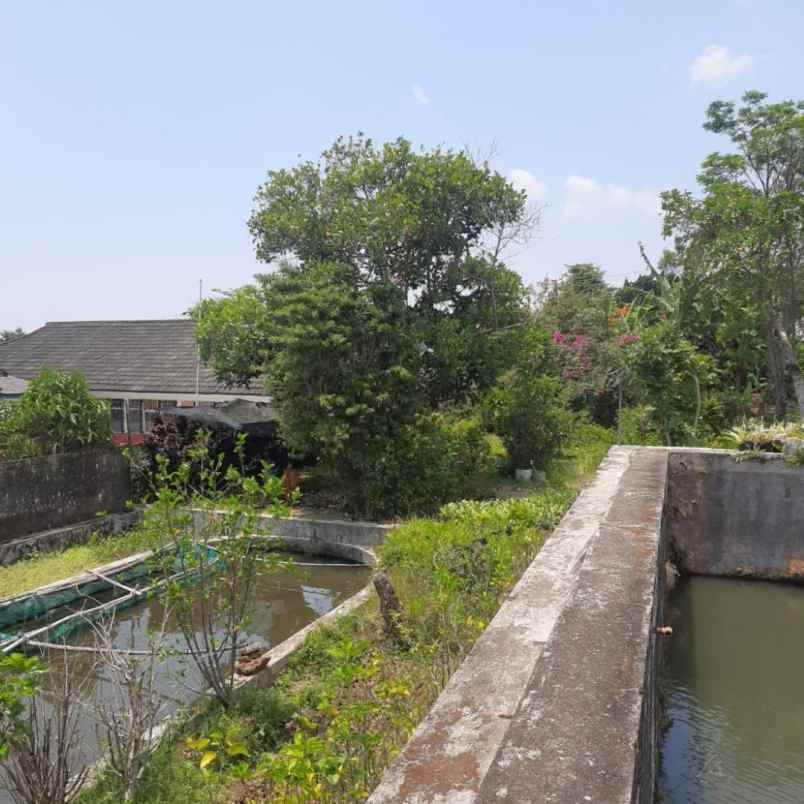 dijual villa jalan raya kebun raya