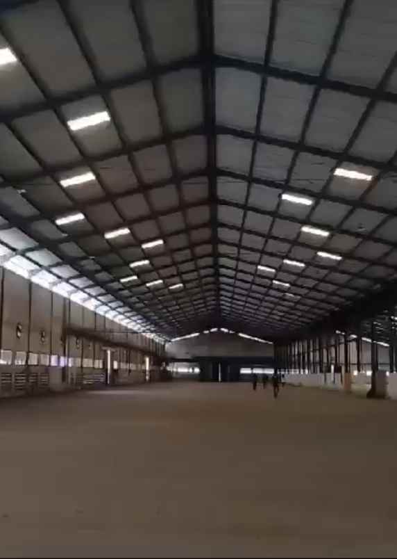 disewakan gudang siap pakai di tambak sawah