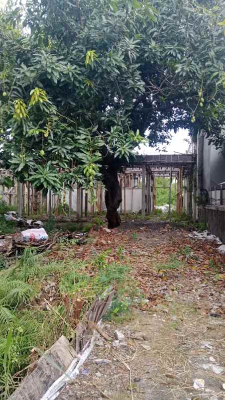 disewakan tanah karang anyar