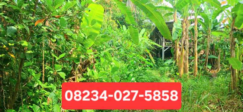 disewakan tanah kemenuh gianyar bali