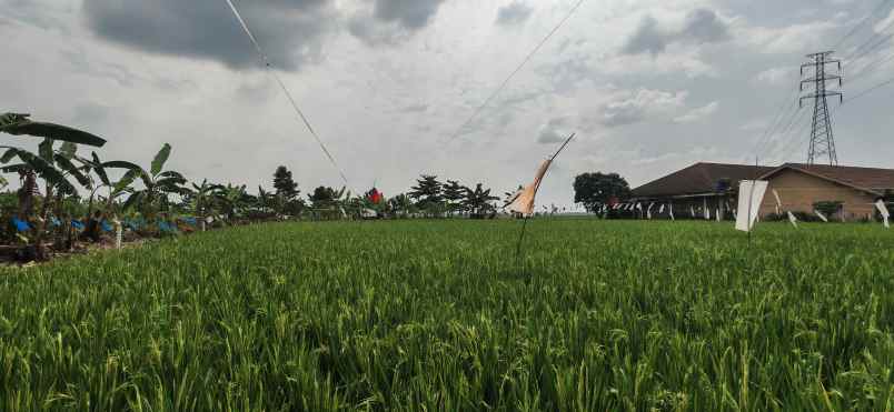 jual cepat tanah karawang barat shm