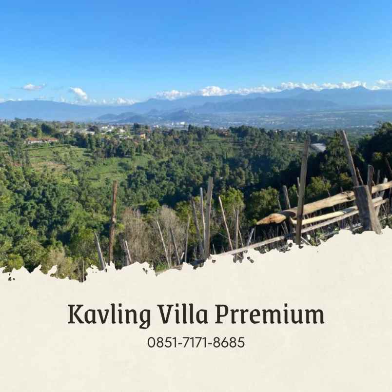 jual kebun murah durian musangking