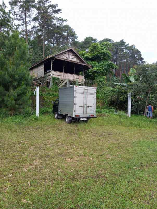 jual rumah hutan dan tanah luas