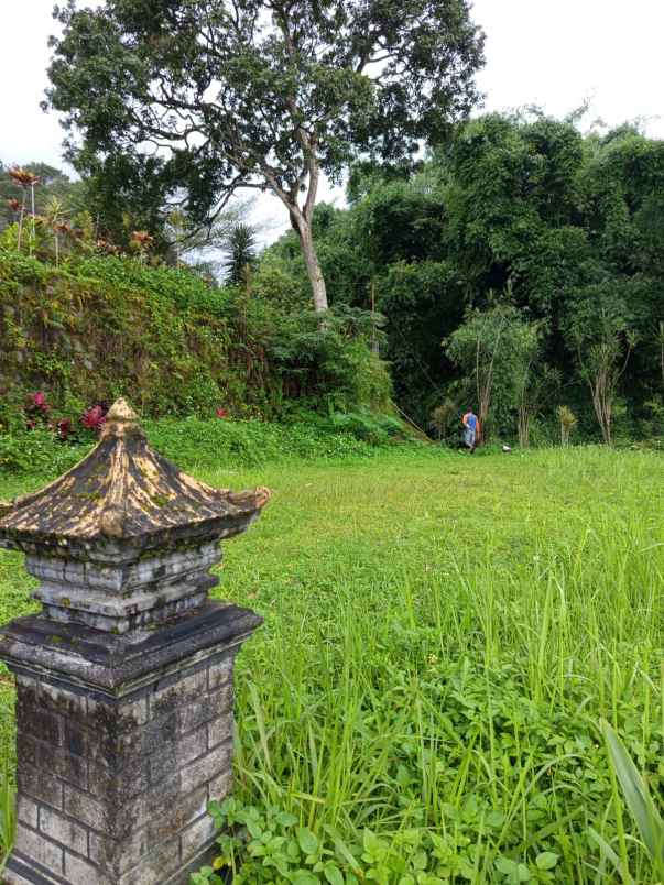 jual rumah hutan dan tanah luas