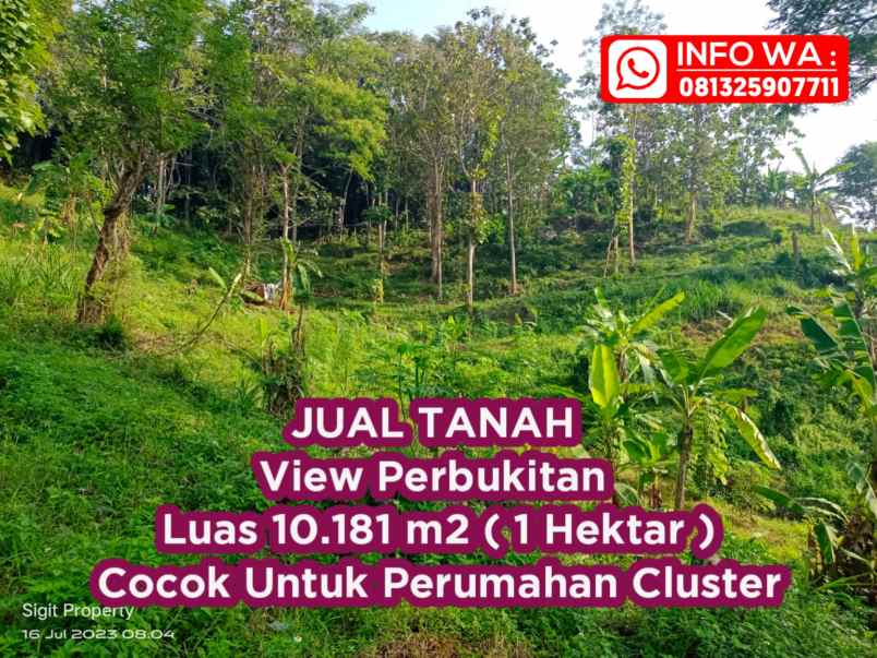 jual tanah murah 1 hektar di pudak payung