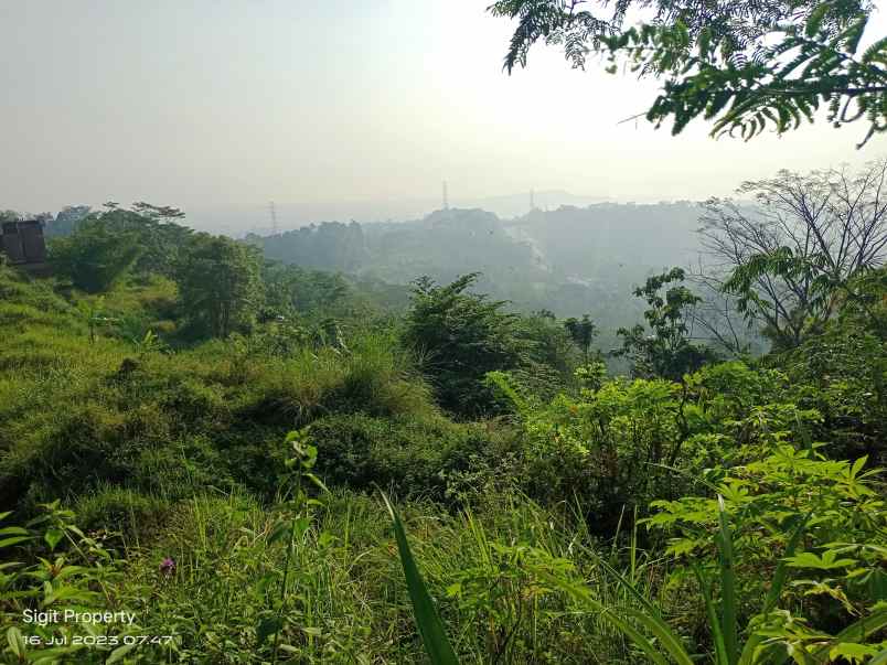 jual tanah murah 1 hektar di pudak payung