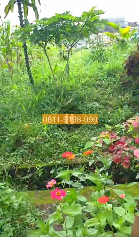jual tanah parongpong bandung barat 150m2 bd6a57