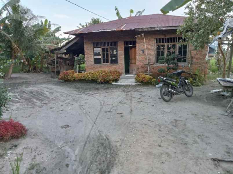 jual tanah shm batang kuis dekat bandara kuala namu