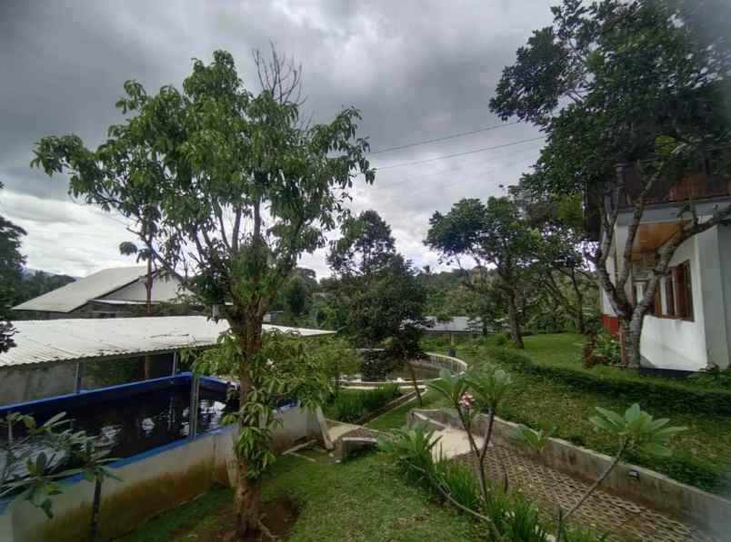 jual villa bagus dan sejuk di daerah desa ciadeg bogor