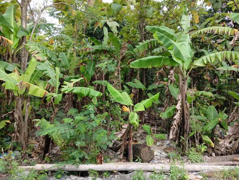 kavling siap bangun arya mukti pedurungan