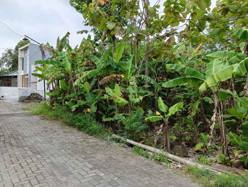 kavling siap bangun arya mukti pedurungan