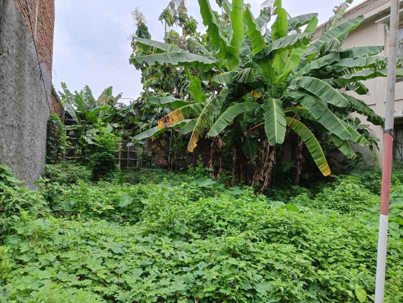 kavling siap bangun jalan elang sambiroto