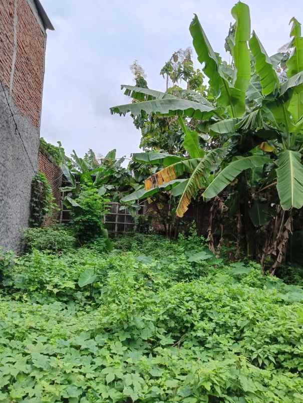 kavling siap bangun jalan elang sambiroto