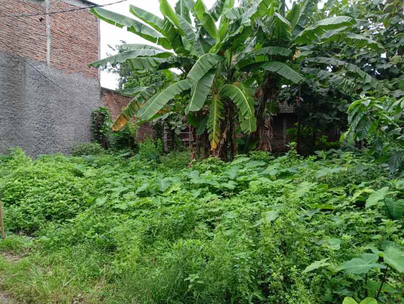 kavling siap bangun jalan elang sambiroto