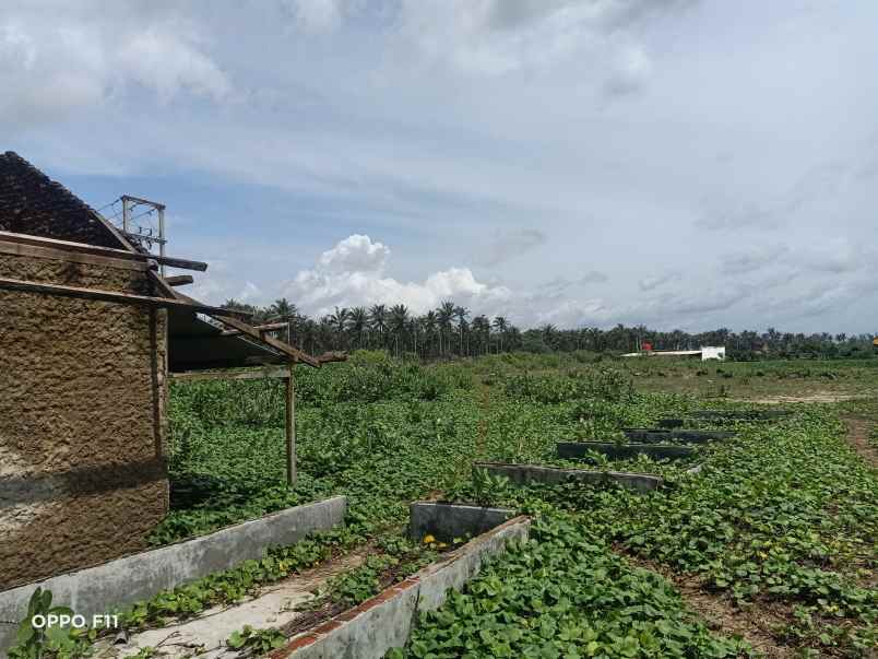 lahan pinggir pantai banten