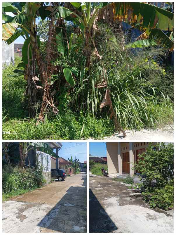 pekarangan 159m2 hdp timur dicolomadu 3 2jt m2