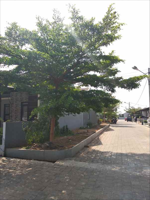 rumah jalan alternatif kota