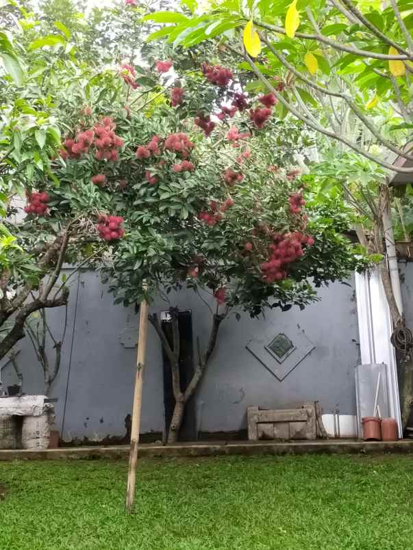 rumah jl raya sulaiman sawangan