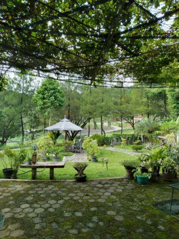 rumah sentul city bogor