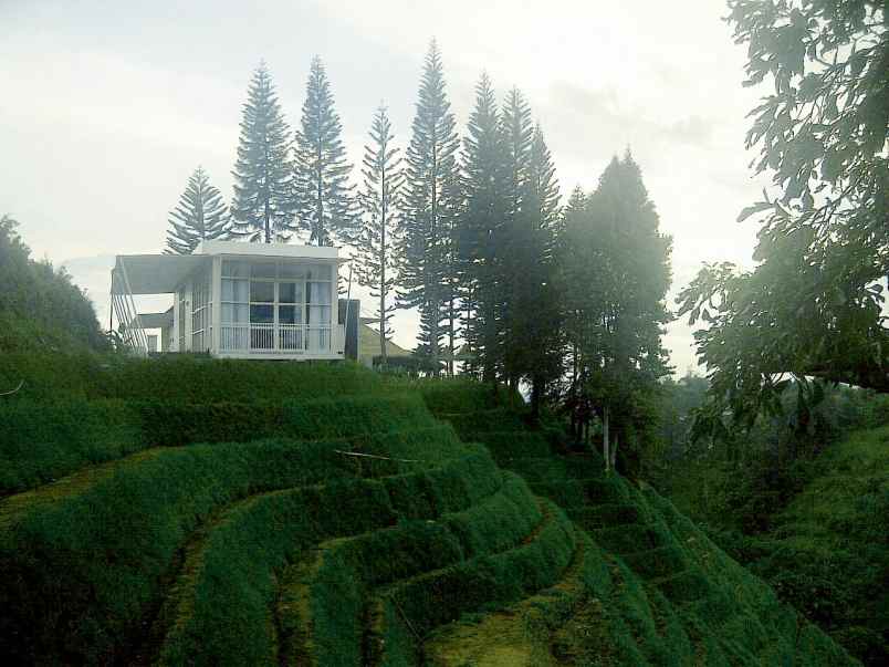 tanah 10ha bonus villa di lembang bandung utara