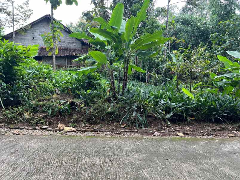 tanah 125 juta strategis dekat pasar mojogedang