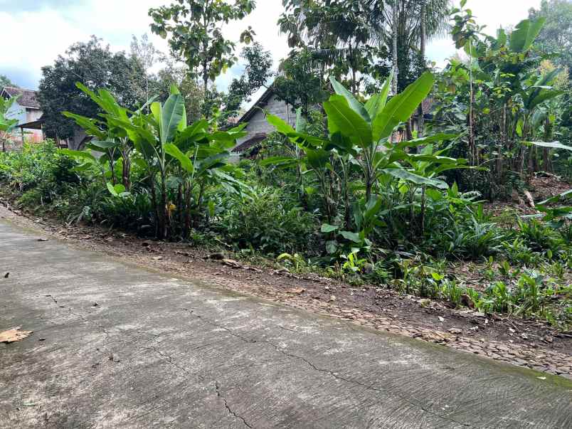 tanah 125 juta strategis dekat pasar mojogedang